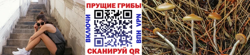 как найти наркотики  Новая Ляля  Галлюциногенные грибы прущие грибы 